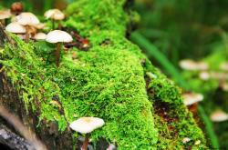 英雄联盟总决赛门票-草根逆袭与数据革命，当马里击溃切尔西，梅西重新定义足球边界