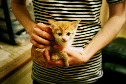 双焦点之夜,意甲战场与篮网山西的血拼