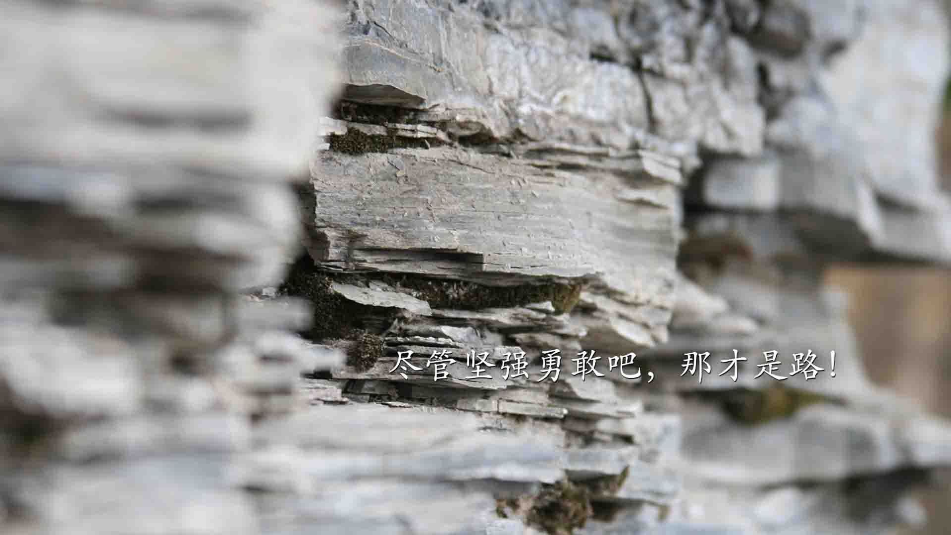 唯一性的逆转,奥利维耶爆发引领威尔士历史性压制新西兰