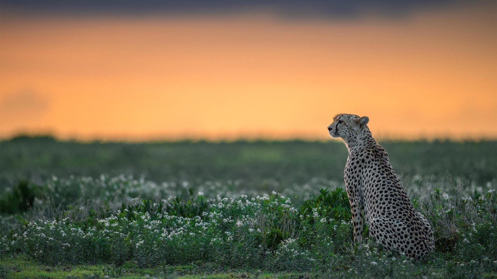 绝境英雄！孔德天外飞仙，挪威上演史诗级压哨逆转
