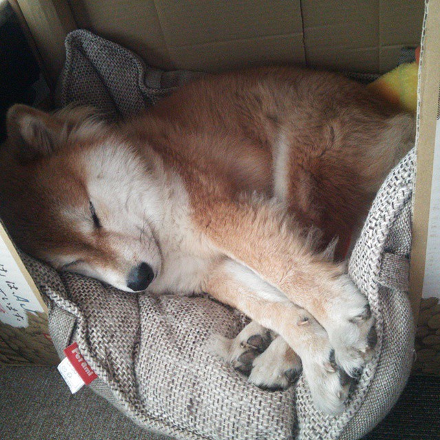 双城记，英超争冠焦点战与湖人轻取浙江队的体育启示