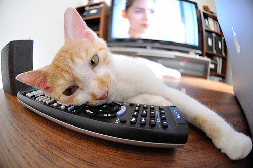 美加墨世界杯焦点战爆冷，摩纳哥横扫瑞典，黑马传奇诞生