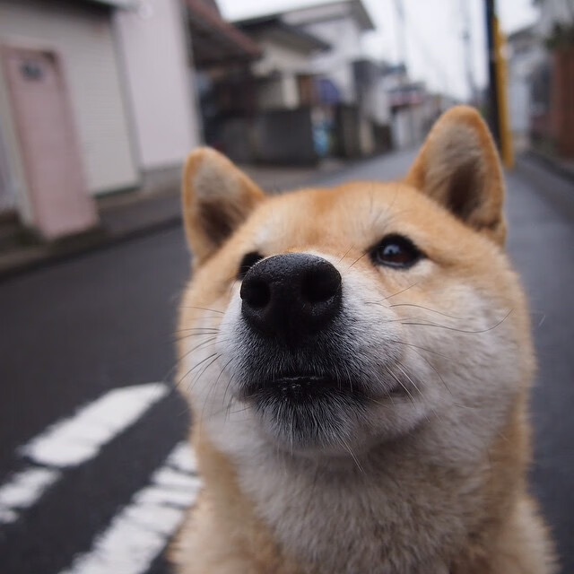 北方童话再续，萨内绝杀莱比锡红牛，芬兰奇迹诞生记