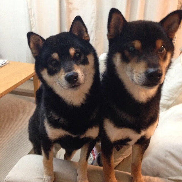 戈麦斯，那个将球场变成磁场的男人