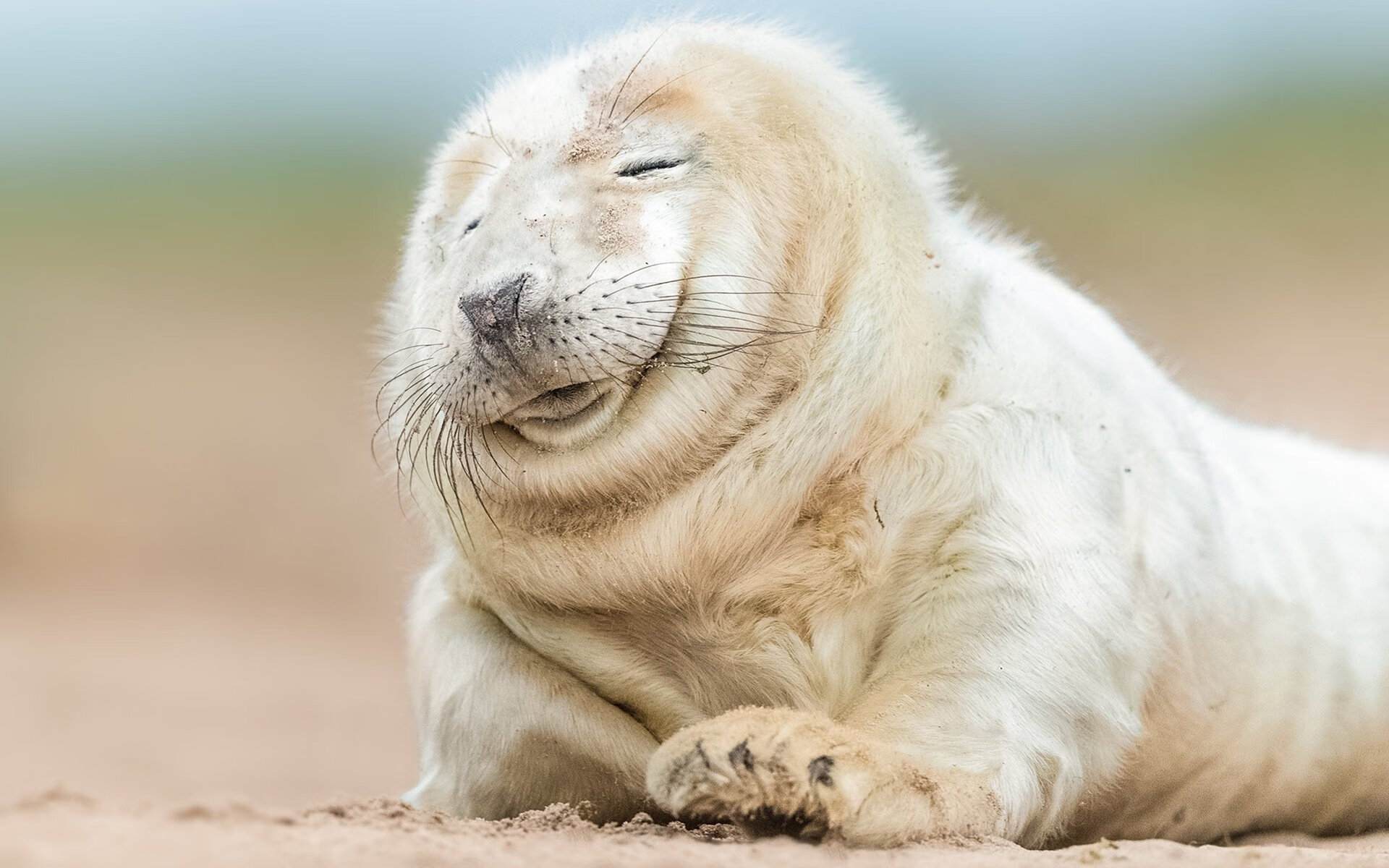 楚阿梅尼关键时刻站出来！比利时打穿加纳绝境逆转