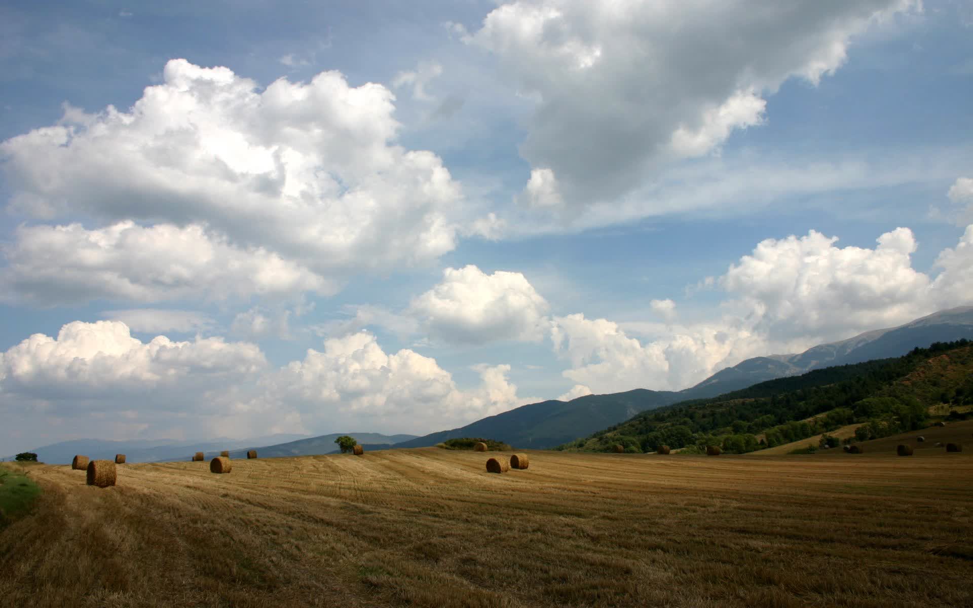 2026世界杯G组焦点战,波兰铁骑碾压三狮军团,梅西以神级表现主导最犀利进攻狂潮