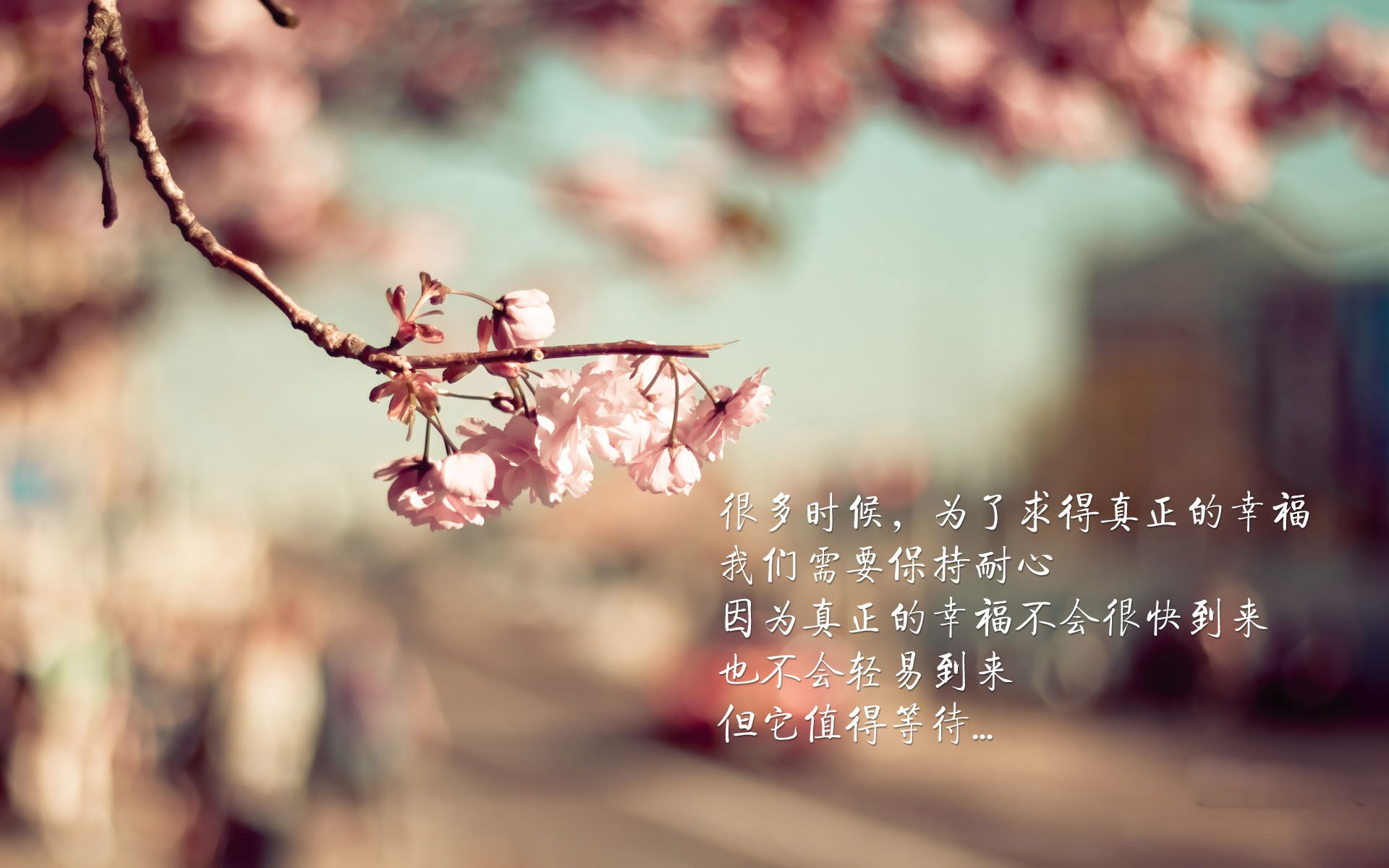 好,这是一个非常有意思的假设性命题。让我们先扩展思维,写出三个不同风格的标题,再选择其中一个进行深度创作